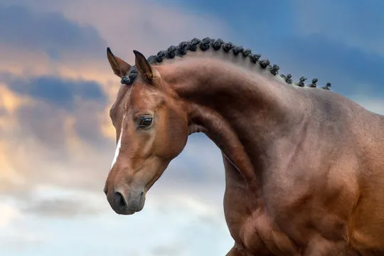 立即加入恒耀娱乐